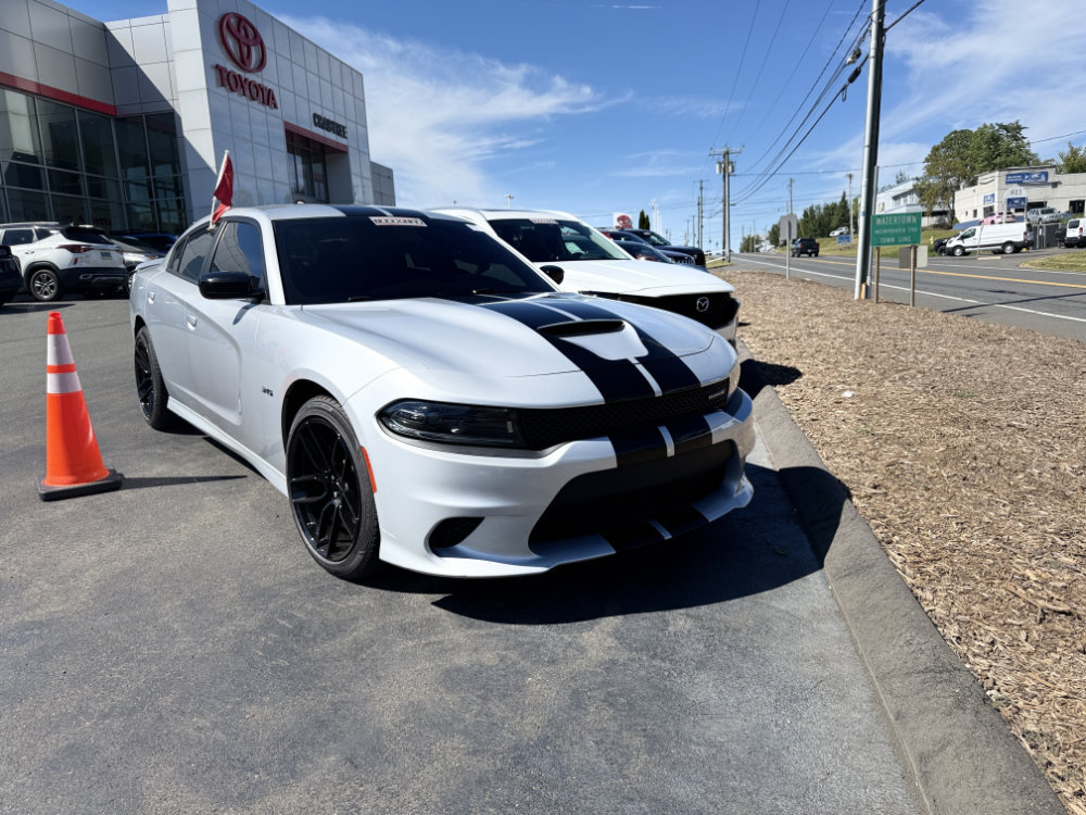 Signs and vehicle wraps gallery image